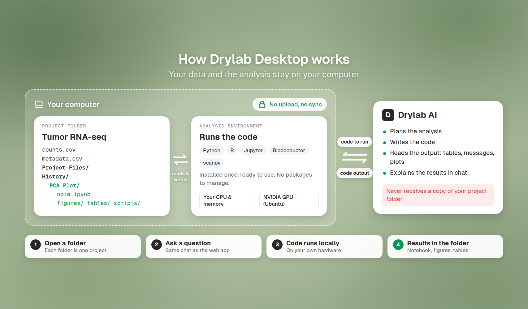 How Drylab Desktop works: your project folder and the analysis environment stay on your computer; Drylab's AI receives only the code output