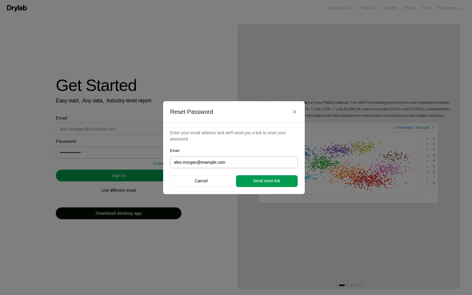Reset Password window