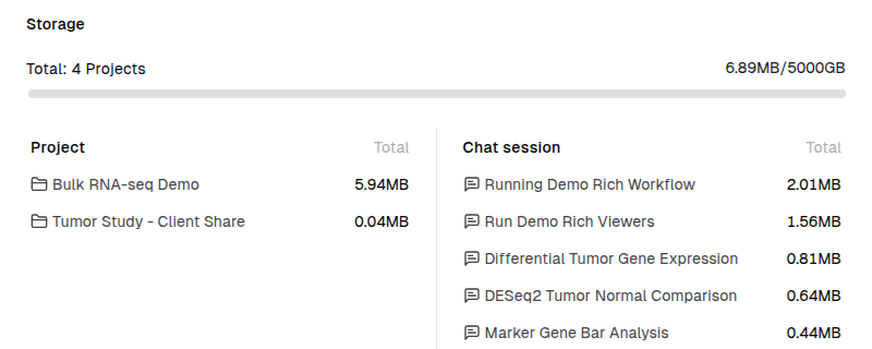 The Storage section of Settings > Usage: largest projects and chat sessions