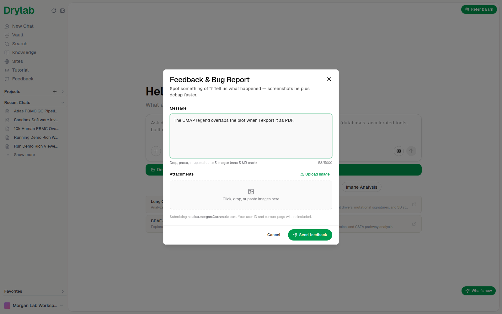 Feedback & Bug Report