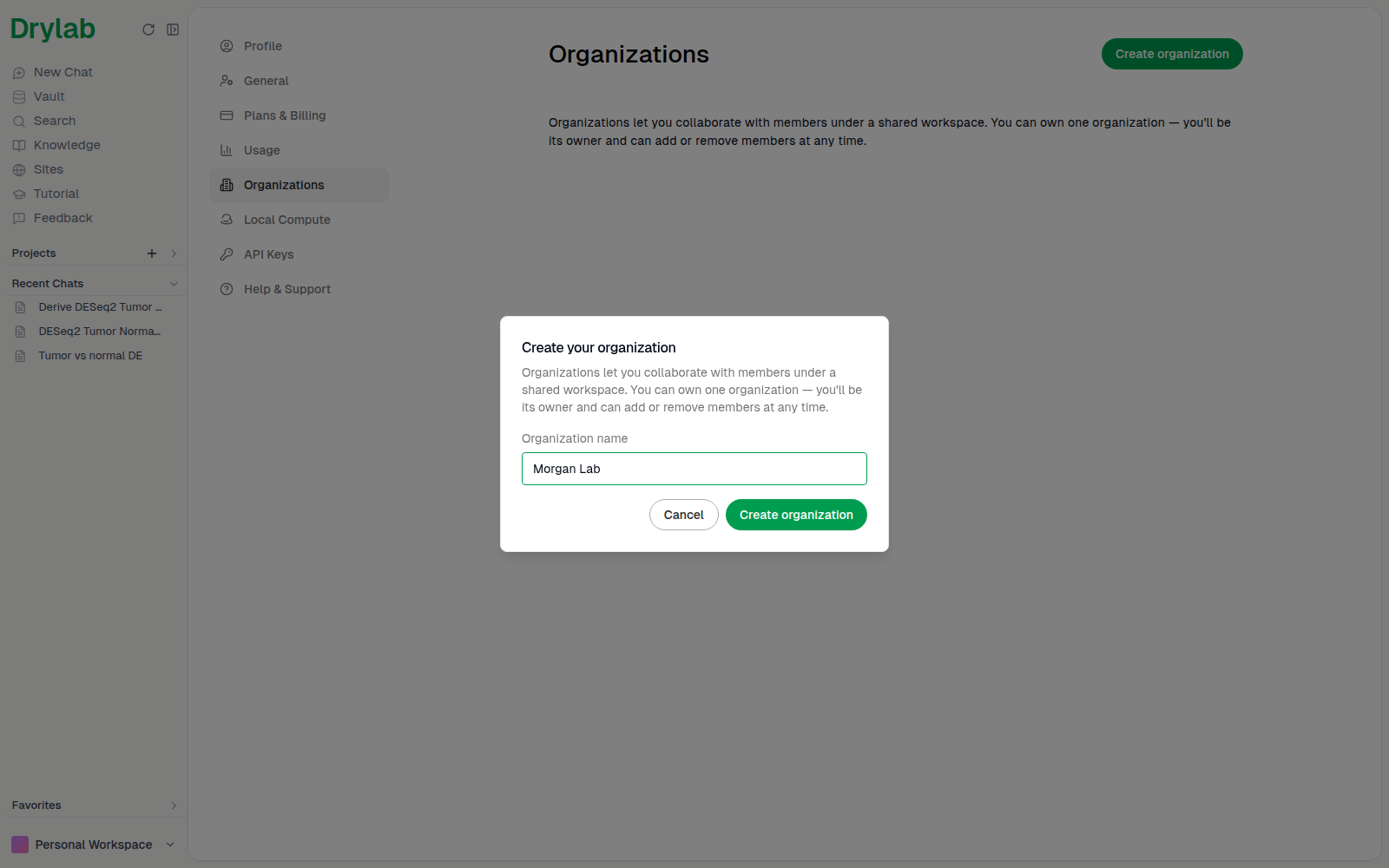 Create your organization dialog with a name entered