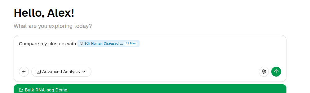 The dataset chip in the chatbox now reads 11 files