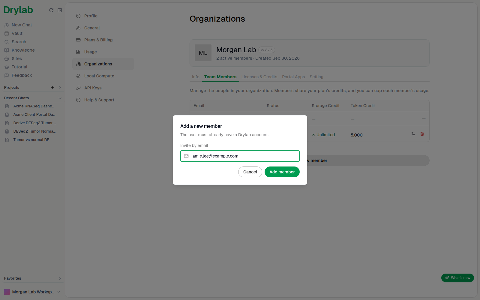 Add a new member dialog with an email entered