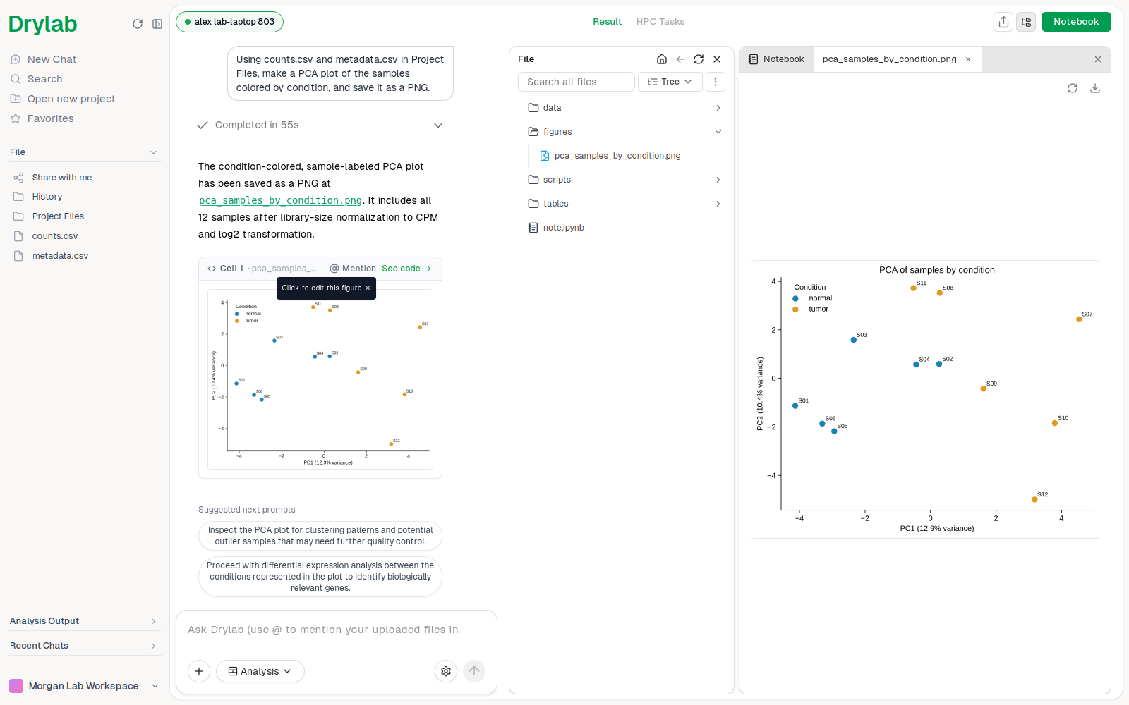 A finished local analysis: the answer in the chat and the PCA figure open from the session folder