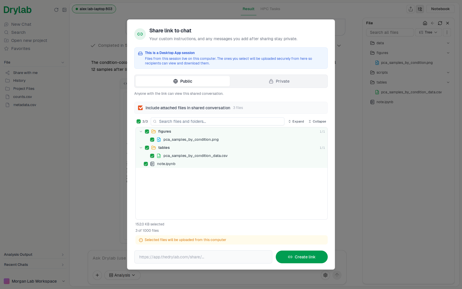 Share link to chat for a Desktop App session, with files selected to include