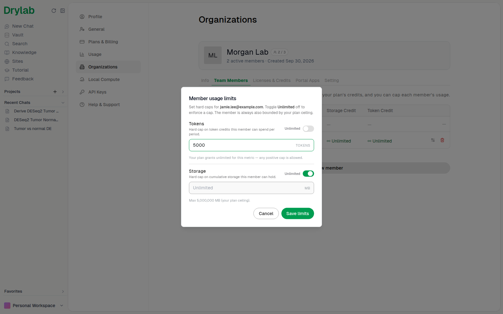 Member usage limits dialog with a token cap entered