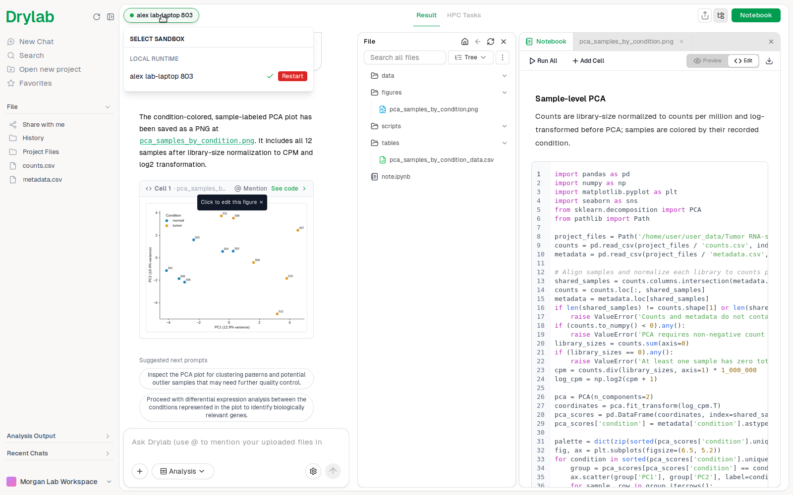 Select Sandbox in the Desktop App, listing this computer under Local Runtime