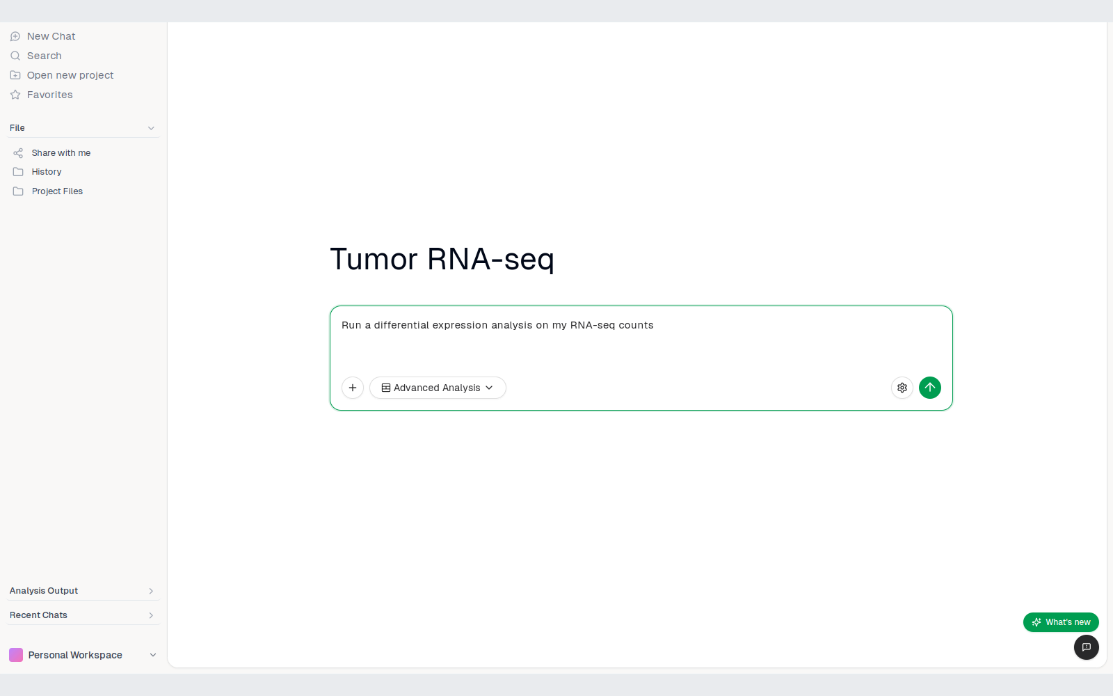 A new project open on the chat page with a first request typed