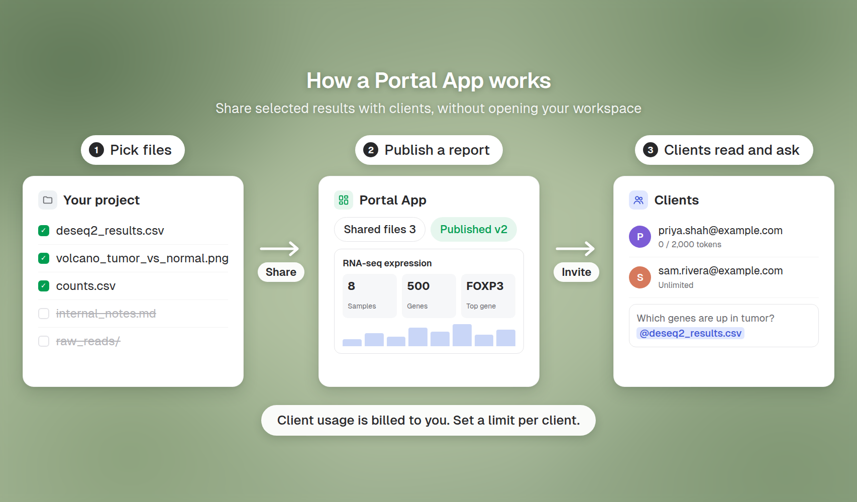 How a Portal App works: pick files, publish a report, clients read and ask