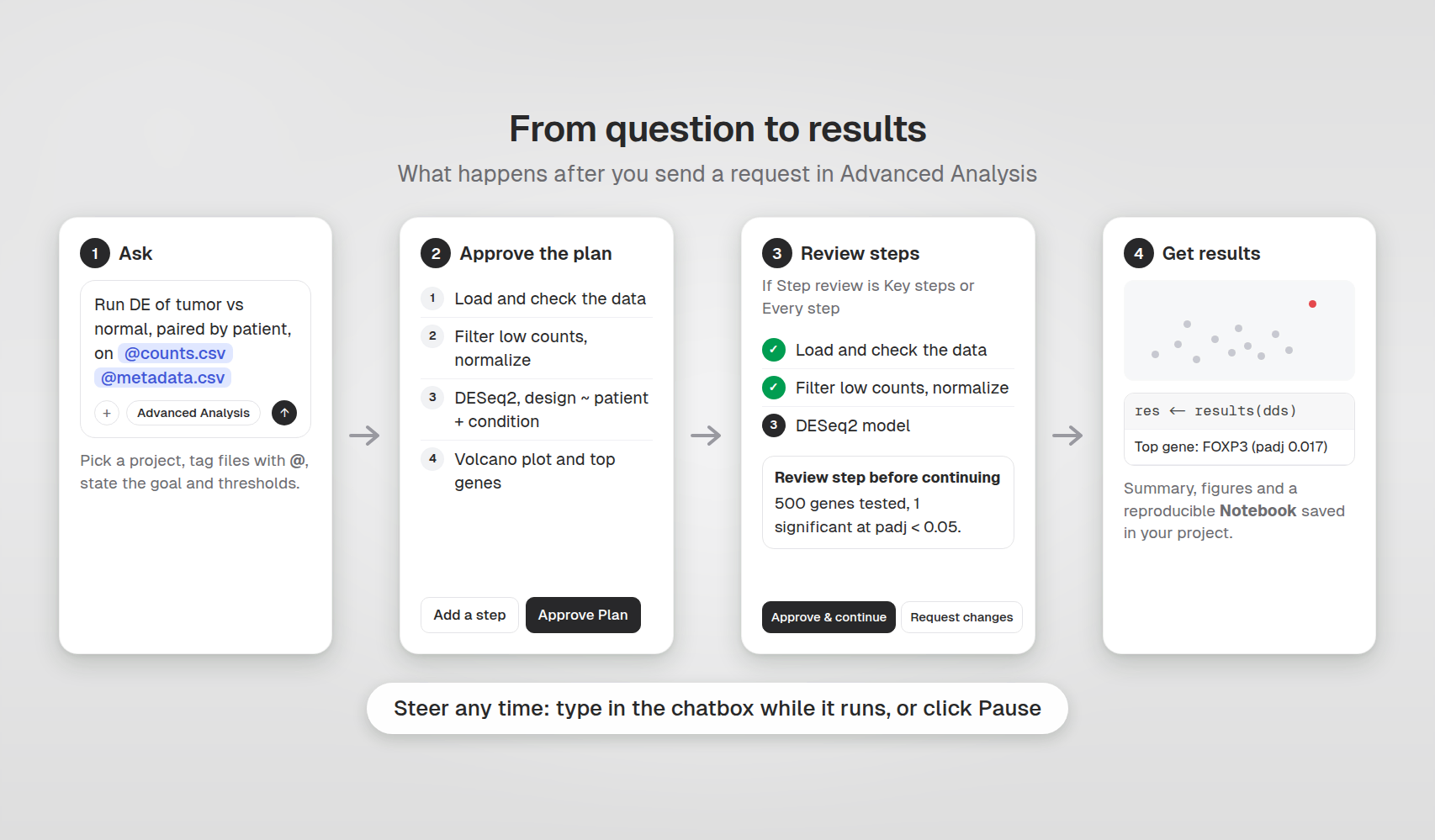 From question to results: ask, approve the plan, review steps, get results