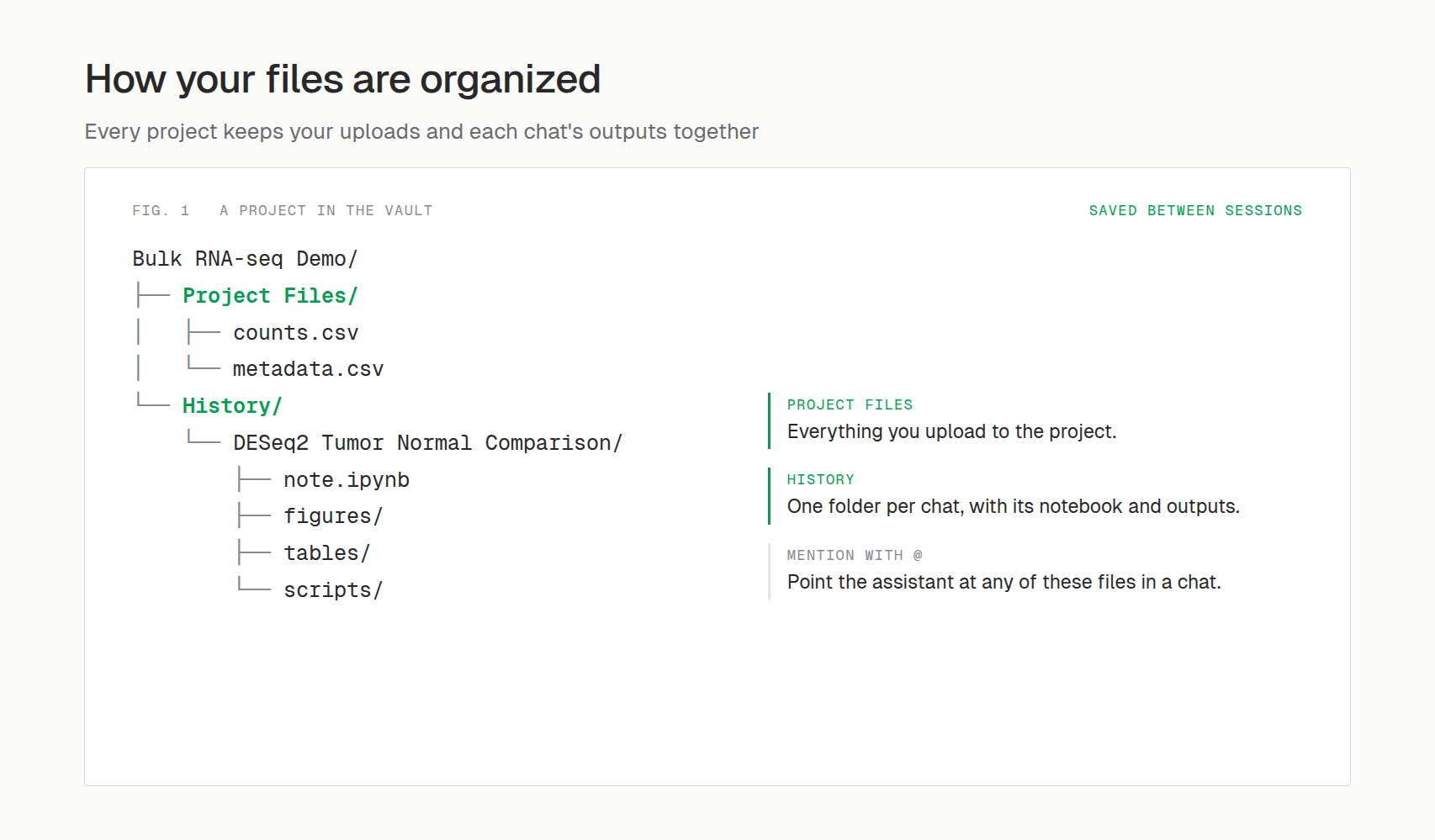 How a project is organized: Project Files for uploads, History for each chat's notebook and outputs