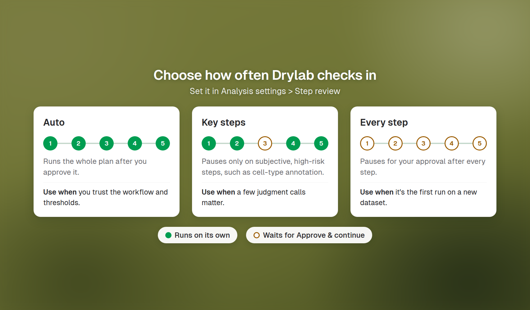 Step review options: Auto, Key steps and Every step